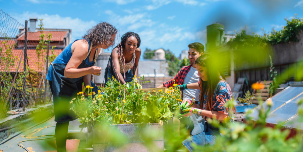 community restaurant